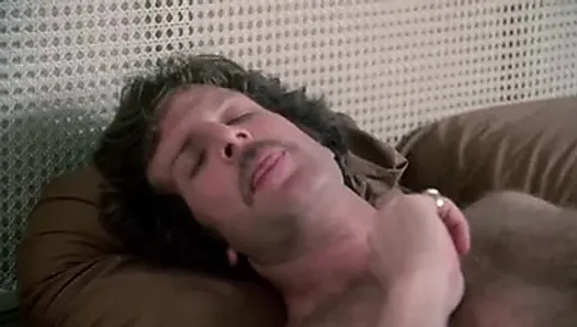 ateşli gibi genç (1983)