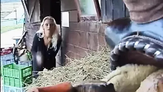 alman urlaubt hotel im kirchheimbolanden