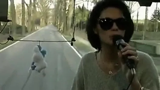 belçika kıdemli partisi