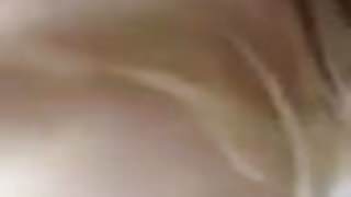 sedef mavisi sus amini bosalacam